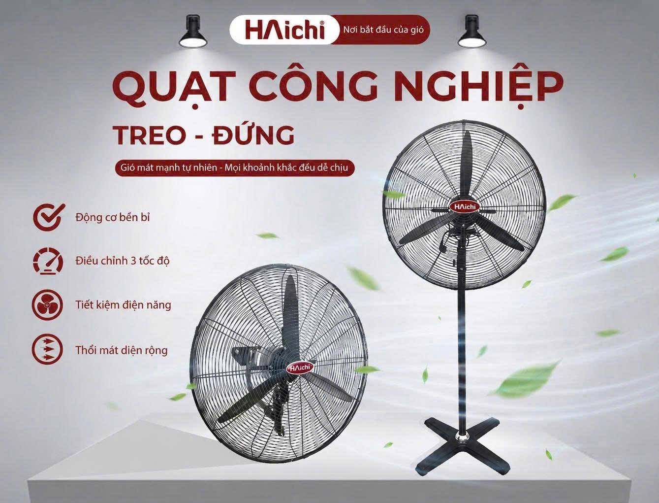 quat_haichi_1