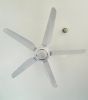 quat-tran-5-canh-superlite-max-cf-565c - ảnh nhỏ 3